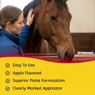 Ivermectin Paste Dewormer | Horse Dewormer for Worm & Bot Control | Single & Bulk