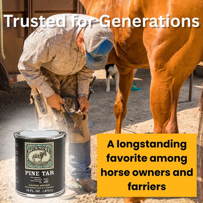 Ivermectin Paste Dewormer | Horse Dewormer for Worm & Bot Control | Single & Bulk
